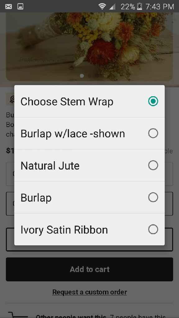 Fall flower help - 3