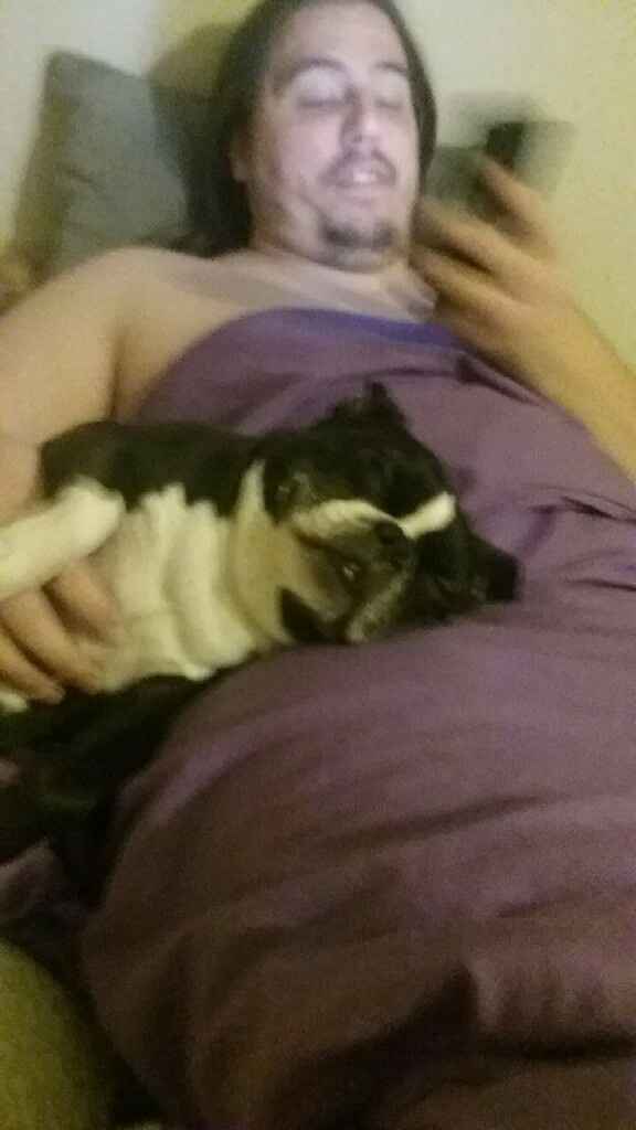 Show me your fiance and pet - 1