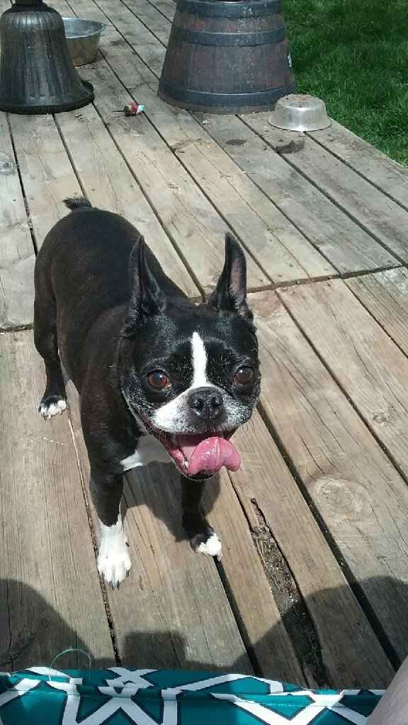 Wedding gift for future spouse? - 1