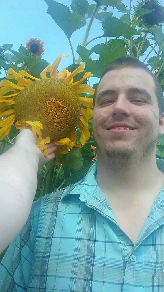 Sunflower photos! - 2