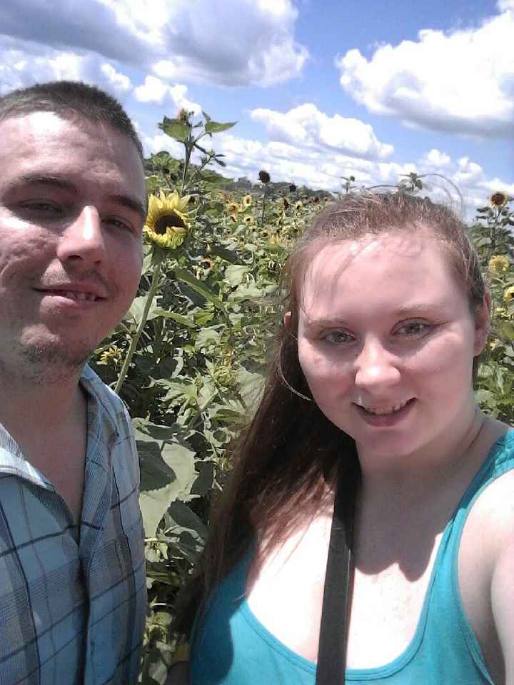 Sunflower photos! - 4