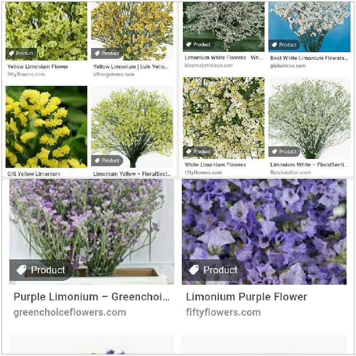 Color conflicted - 4