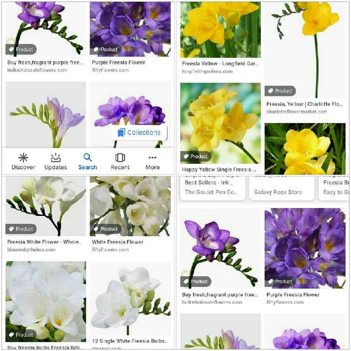 Color conflicted - 6