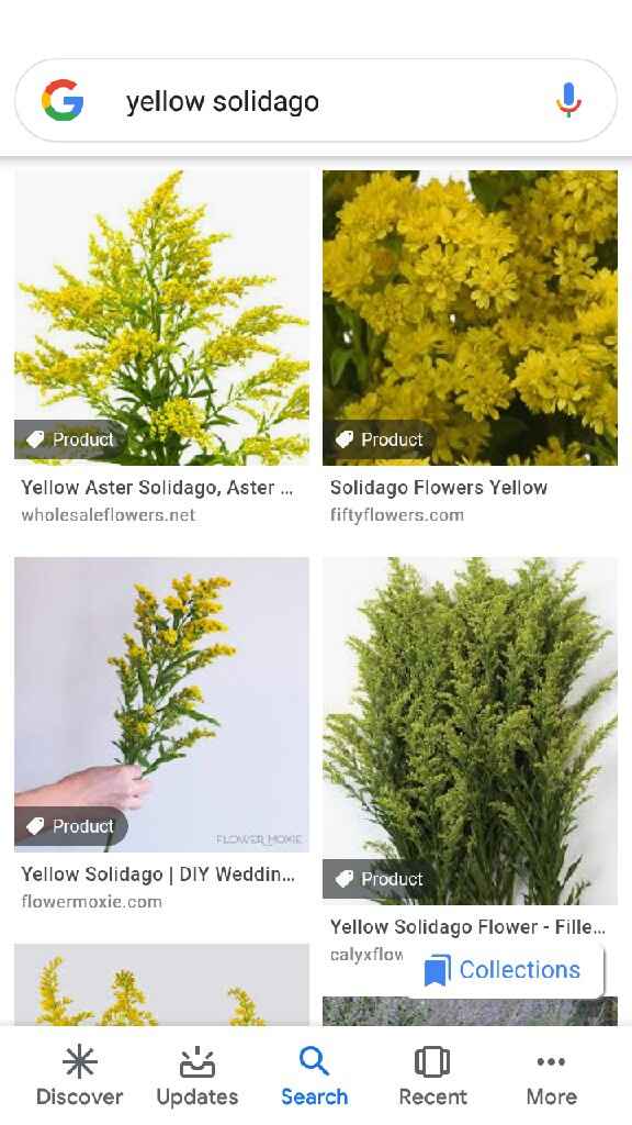 Color conflicted - 7