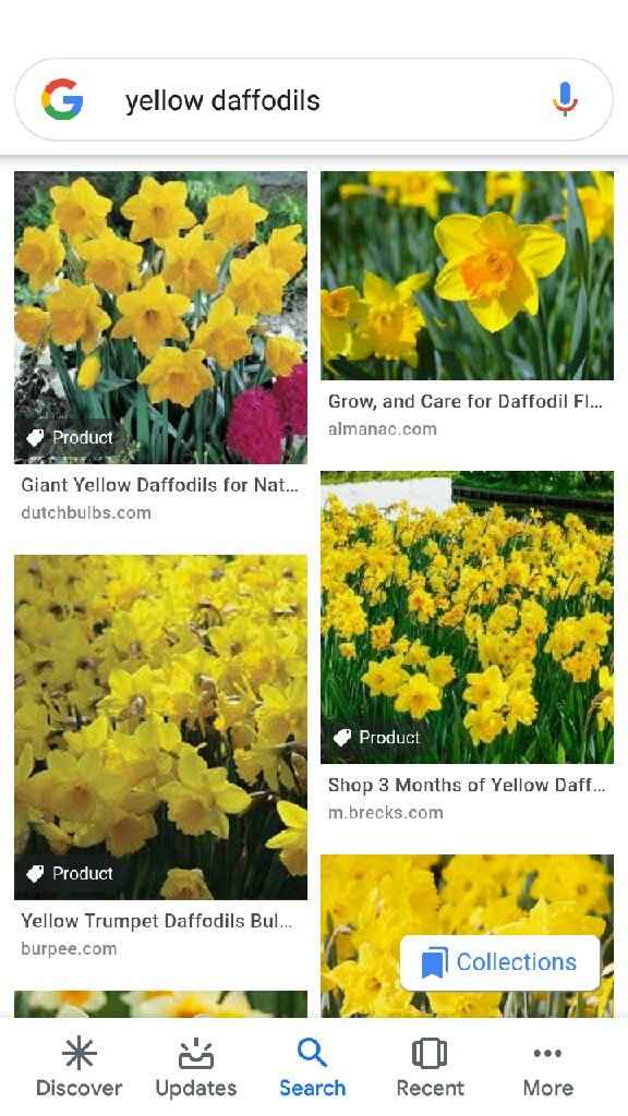 Color conflicted - 10