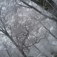 And weekly wtf moment slightly glad we postponed - 1