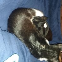 No marriage license yet?!?!? - 1