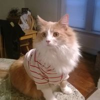 your fur babies baby pics- share'em if you got'em