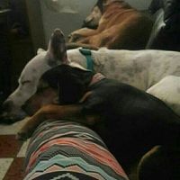 NWR:. Just wanted to share the Sunshine. Caution:Extreme cuteness enclosed.