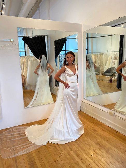 Need help deciding on veil - 1