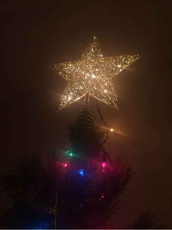 NWR who has the Christmas trees up?!