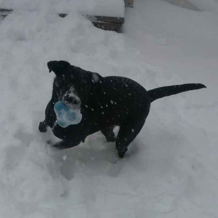 Show mee yourrr…..