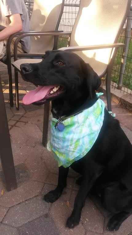 NWR: My four-legged child turns THREE today!!! *I want pics of yours*