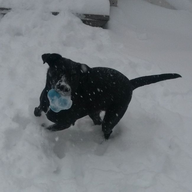 Show mee yourrr…..