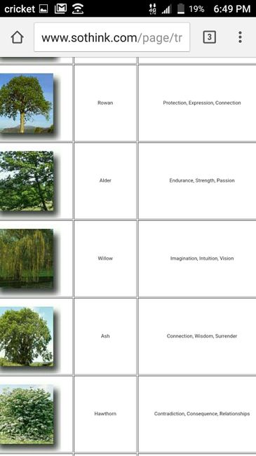 Tree Planting - 1