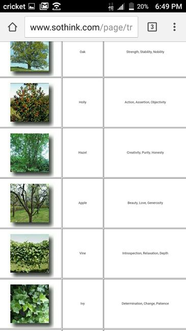 Tree Planting - 2
