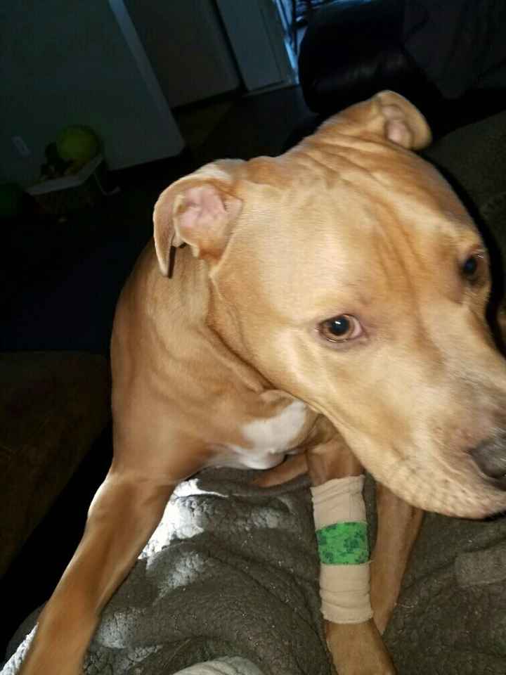 NWR: Show me your pups!