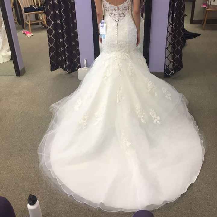 More Dress Pics/Long Train!!