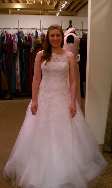 Anyone have there wedding dress picked out? Pics?