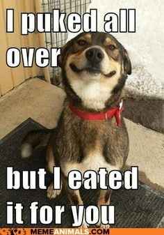 I'm having an EXCEPTIONALLY crappy day, so let's do some memes?!