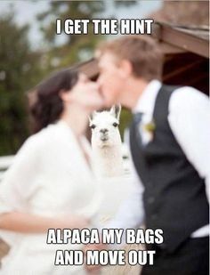 I'm having an EXCEPTIONALLY crappy day, so let's do some memes?!
