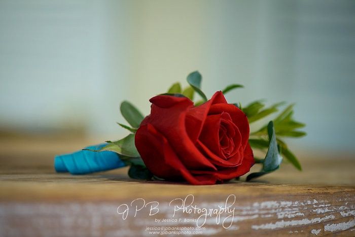 Wedding Questions!