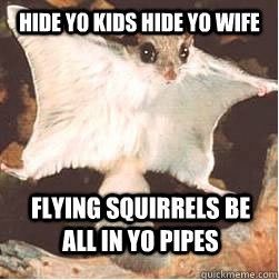 FH's aunt brought a flying squirrell to thanksgiving dinner.