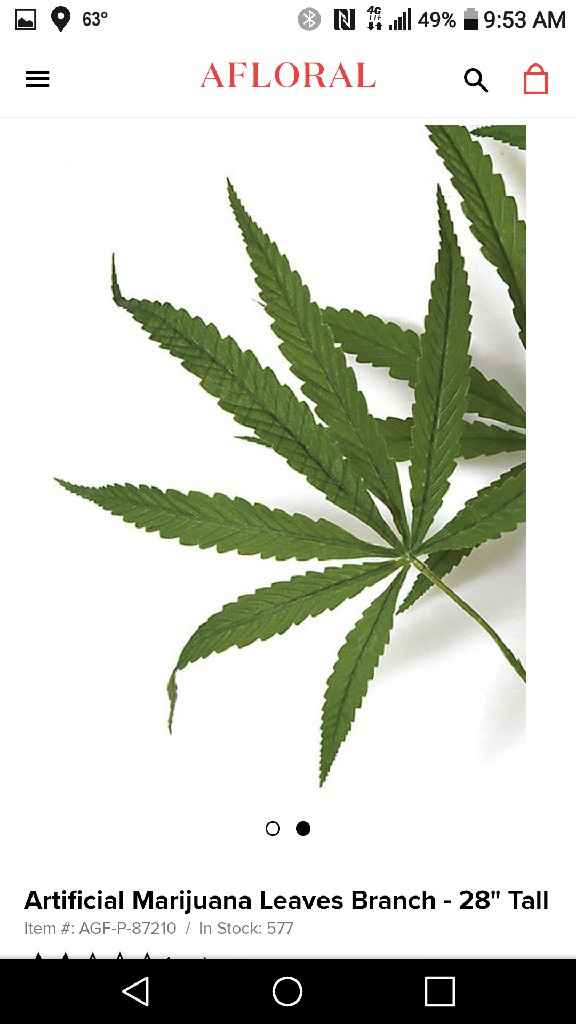 Custom foe flower - 1