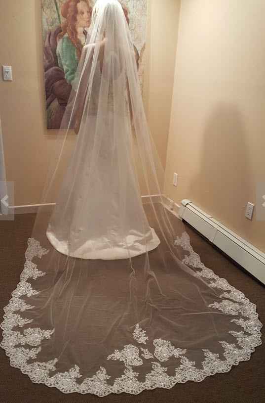 Which veil?