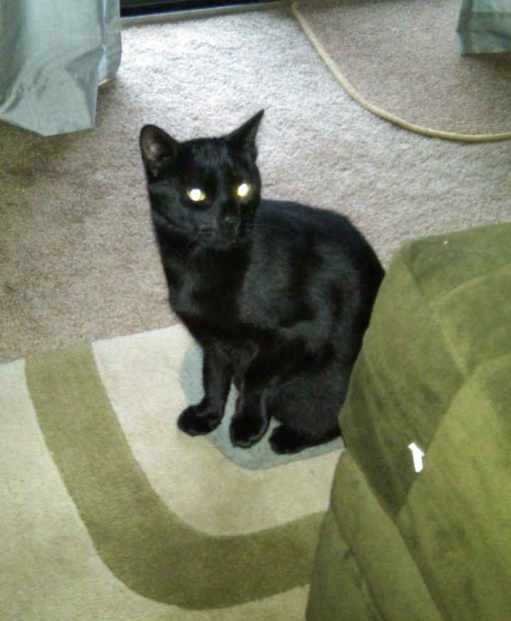 Technically I'm a mom too! Lol