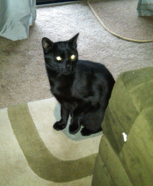 Technically I'm a mom too! Lol