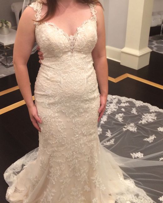 Dress size 14 - Street Size 12. Dress pics??
