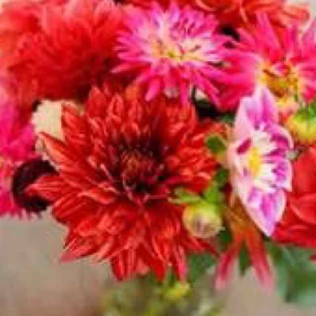 Florist- how much is typical?!
