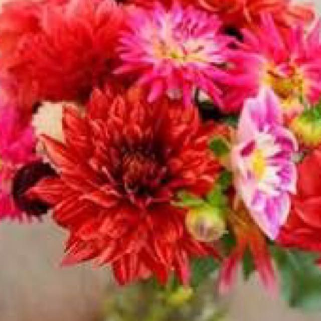 Florist- how much is typical?!