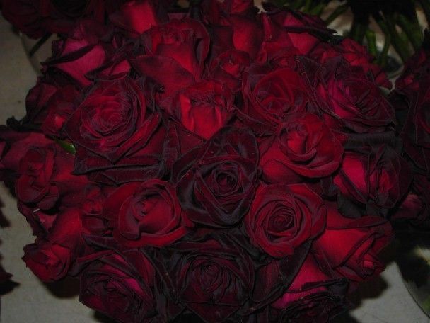 Spam me with all your bouquet photos!!! - 5