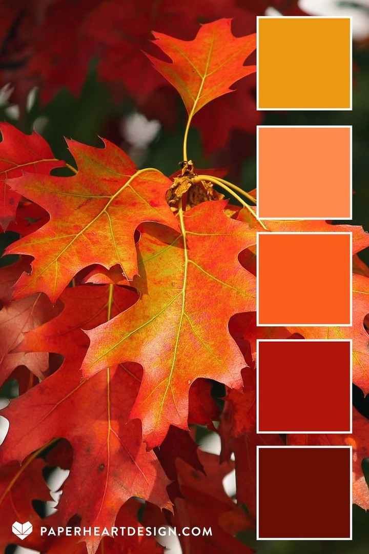 Need help with color schemes for leave changing season! - 1