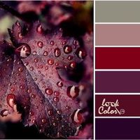 Need help with color schemes for leave changing season! - 4