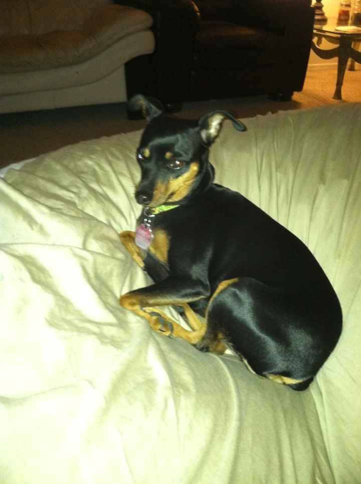 Just for fun, lets see your crazy pet child....
