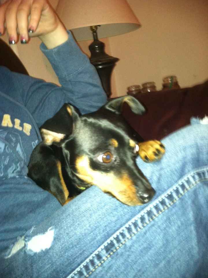 Fur babies :)
