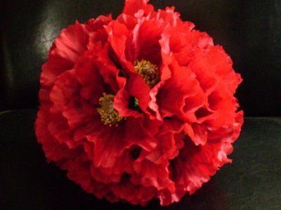 Poppies, anyone?