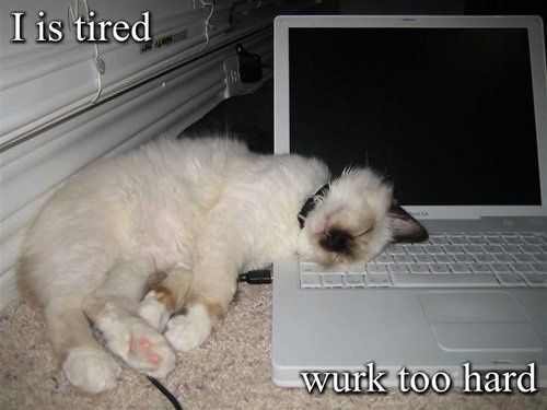 ***NWR***Maybe I should just call in......what do you think?**PIC**