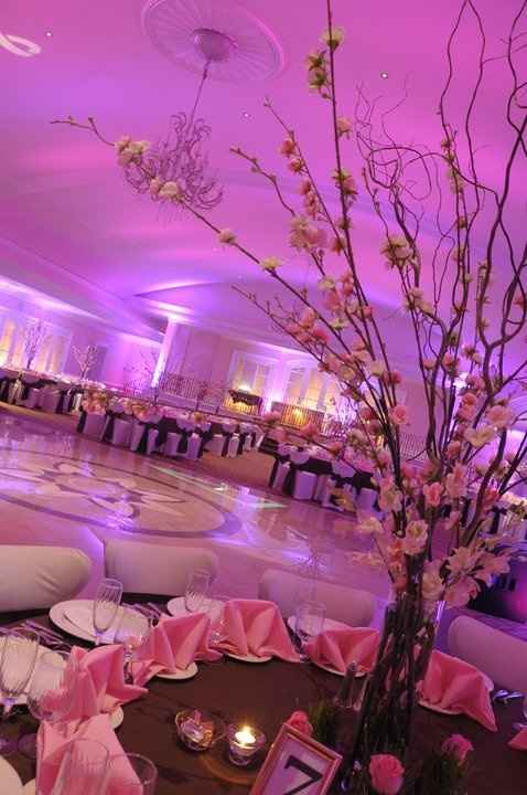 Budget stress/quotes from vendors