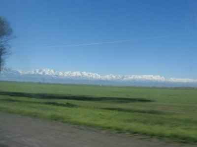 Where have you been?