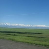 Where have you been?