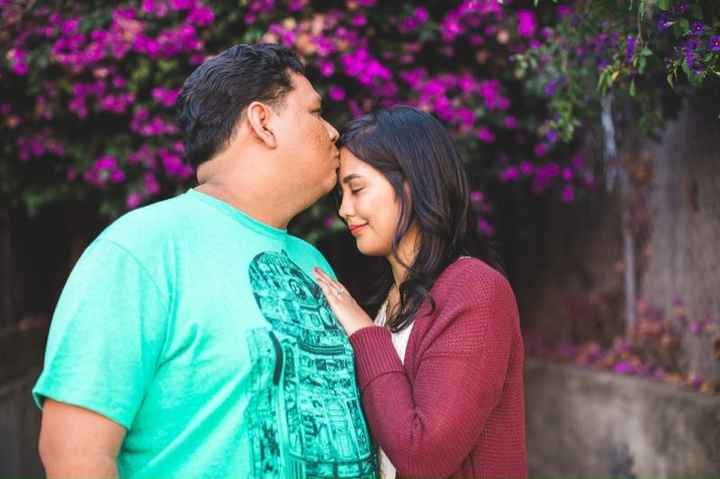 Our engagement pics