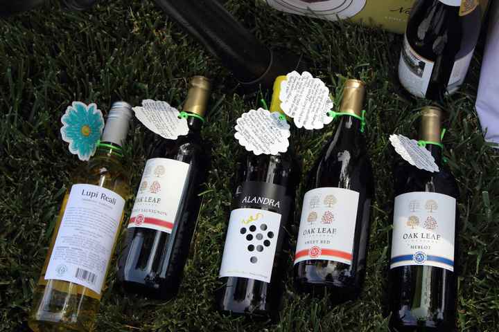 I had my dream Bridal Shower! (With Pics)