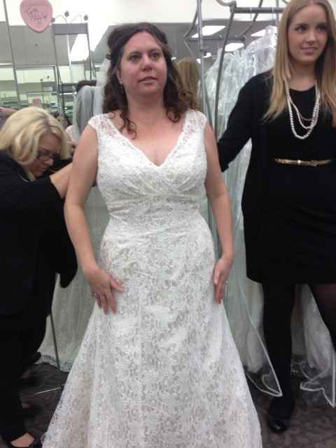 Since Friday is Bride Day (Per TLC) . . . My Dress Pics