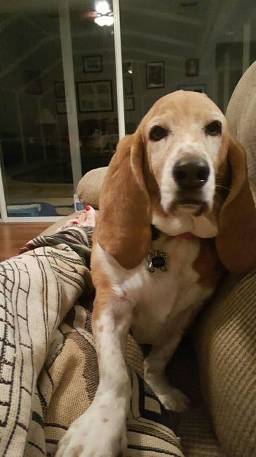 NWR: you and furbaby pic!
