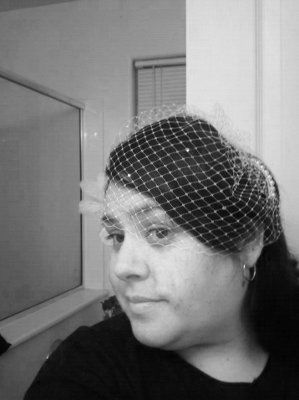 Well what do you think? My DIY birdcage veil..