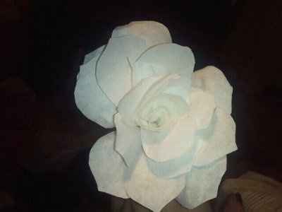 No Flowers.. Help! *pic on page 2 updated today :)*